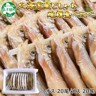 1316. ししゃも 雌雄 食べ比べ セット 40尾 シシャモ 海鮮 魚介 送料無料 北海道 弟子屈町