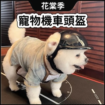 狗狗安全帽 貓咪安全帽 寵物機車帽 寵物頭盔 寵物狗狗機車 可露出耳朵安全帽 機車帽 泰迪金毛柯基邊牧小狗中大型