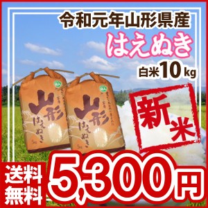 令和5年 山形県産 はえぬき 白米 精米済 10kg(5kg×2)（送料無料）