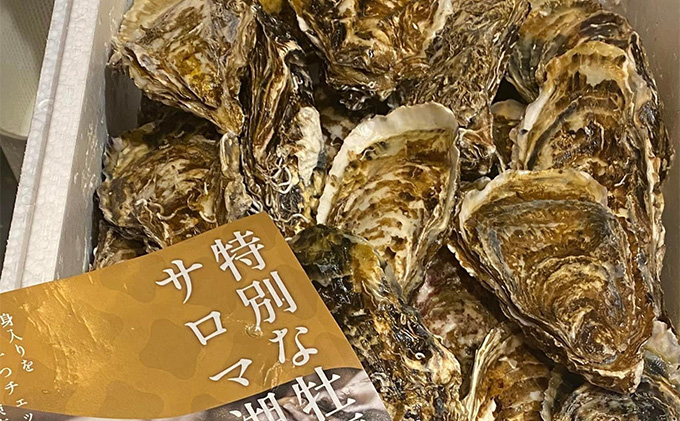 北海道 オホーツク サロマ湖産 殻付きカキ 生食可 8kg 牡蠣職人厳選