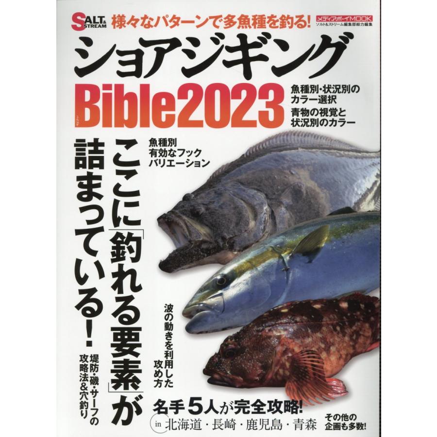 翌日発送・ショアジギングＢｉｂｌｅ ２０２３