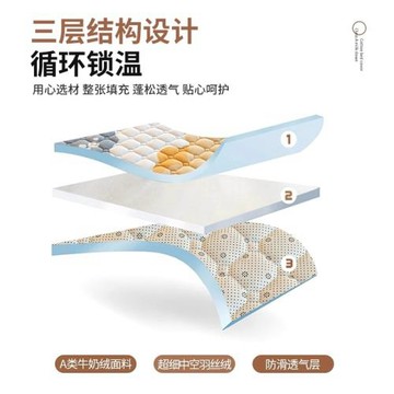 珊瑚牛奶絨床蓋單件冬季加絨夾棉床單防滑加厚榻榻米墊子2026新款