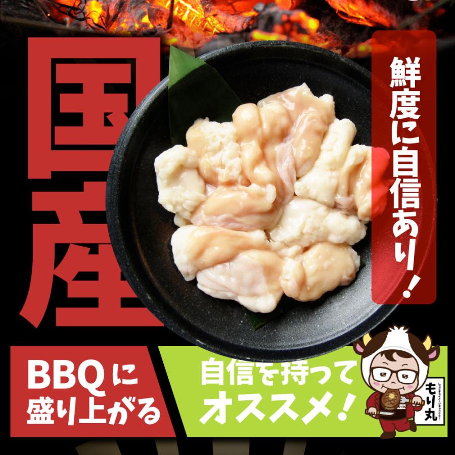 国産牛 ホルモン 4.8kg (240g×20袋) ほるもん 小腸 焼肉用 お得 焼肉 やきにく アウトドア お家焼肉 レジャー 送料無料 冷凍