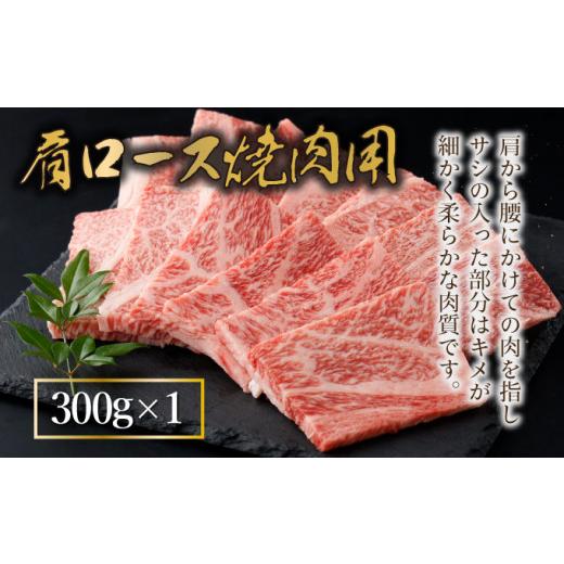 ふるさと納税 宮崎県 串間市 KU444 宮崎牛赤身モモ肉400g、赤身ウデ肉400g、肩ロース300ｇの焼肉食べ比べセット（合計1.1kg）