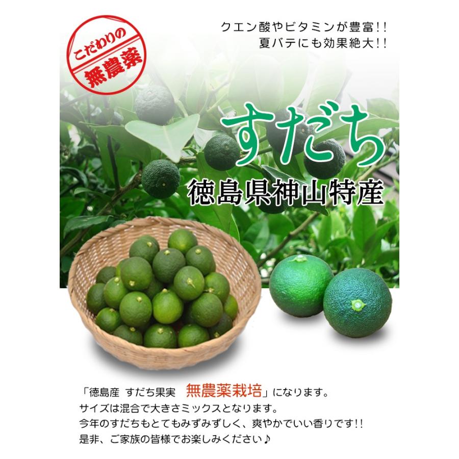 2023年収穫 すだち 果実 1kg 徳島県産 無農薬 家庭用 袋入 クール便送料無料