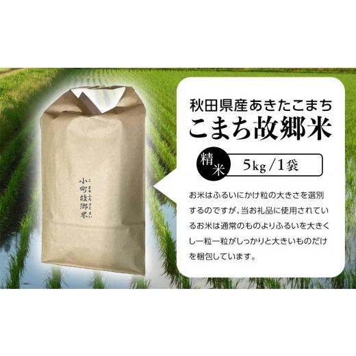 ふるさと納税 秋田県 秋田市 こまち故郷米＜あきたこまち＞5kg×1袋