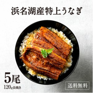 うなぎ    鰻 浜名湖 蒲焼き 5尾セット お歳暮 国産 ウナギ 母の日 父の日 お中元 贈答 敬老の日 ギフト 贈答用