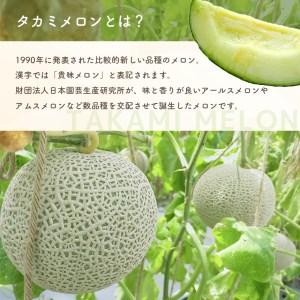 ふるさと納税 タカミ メロン ３L 2玉 化粧箱入り 栃木県真岡市