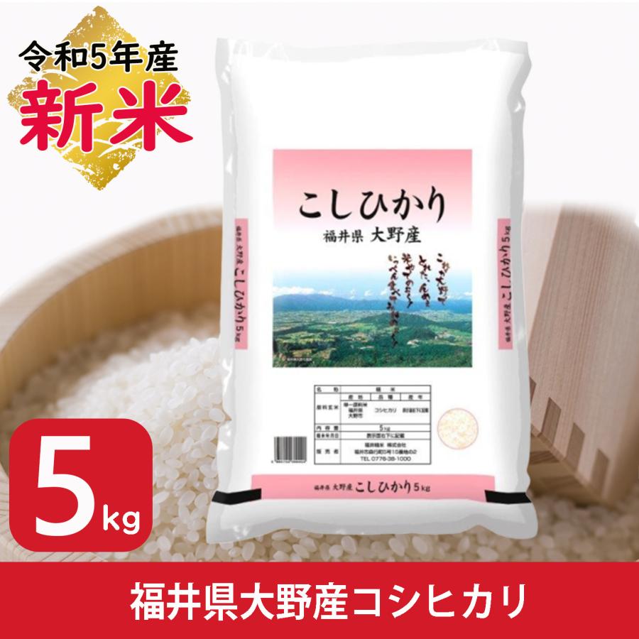 新米 米 5kg コシヒカリ 福井県大野産 白米 令和5年産 送料無料