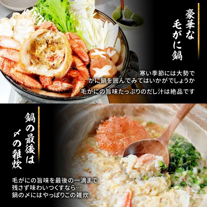 毛がに 特大 約500g 2杯 ボイル 毛ガニ 北海道 国産 送料無料 1kg