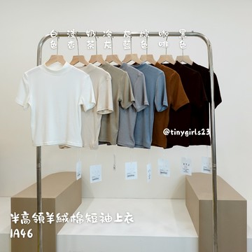 【太妮絲IA46】現貨 經典8色 半高領 短袖上衣 200克羊絨棉 微高領短袖素T 半高領 短袖 夏天上衣 日常穿搭