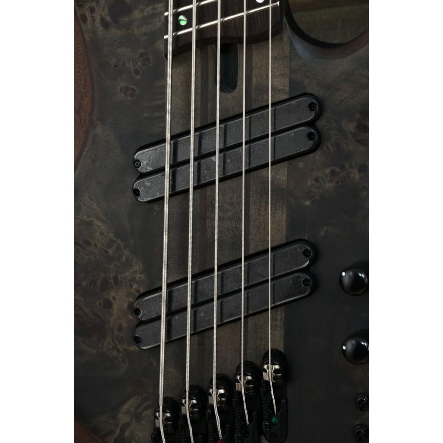 Ibanez Bass Workshop BTB805MS-TGF