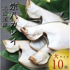 北海道産宗八かれい一夜干し大サイズ10枚(約2kg)