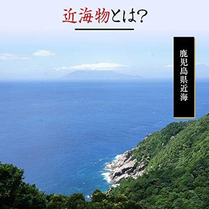 カネニニシ 本枯節 花かつお かつお節 50g (10袋) 鹿児島県産 自社生産