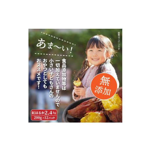 ふるさと納税 大分県 国東市 長期熟成！極甘しっとり焼いも 紅はるか2.4kg_1783R