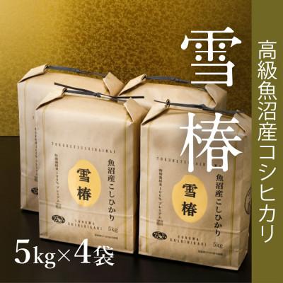 ふるさと納税 新潟県 高級中魚沼産コシヒカリ「雪椿」20kg(5kg×4袋)　特別栽培米