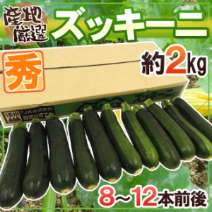 産地厳選 ”ズッキーニ” 秀品 8～12本前後 約2kg