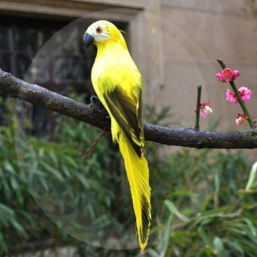創意仿真鳥羽毛小鳥彩色鸚鵡假鳥擺件花園櫥窗裝飾道具工藝品掛件
