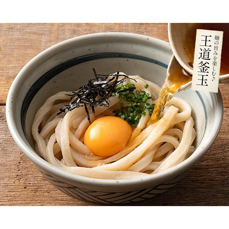 うどん 讃岐うどん 300g（9人前）100g×3袋 メーカー直送 ウドン 讃岐 さぬきうどん 香川 生めん 生麺 生うどん うどんセット お試し ポイント消化 ポッキリ