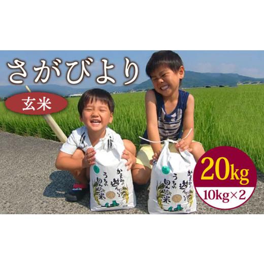 ふるさと納税 佐賀県 江北町 令和5年産 新米 さがびより 玄米 20kg 10kg×2袋  [HAC005]