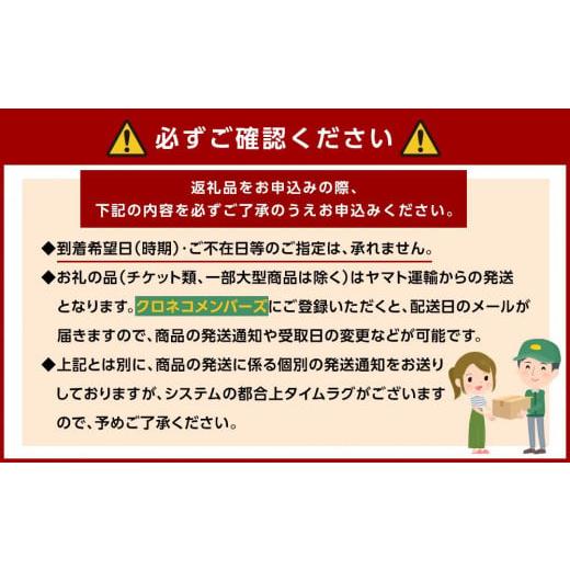 ふるさと納税 和歌山県 九度山町 紀州有田みかん　秀品　約10kg　（MまたはSサイズ）