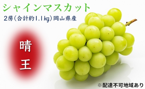 ぶどう 2024年 先行予約 シャイン マスカット 晴王 2房（合計約1.1kg）化粧箱入り マスカット ブドウ 葡萄  岡山県産 国産 フルーツ 果物 ギフト