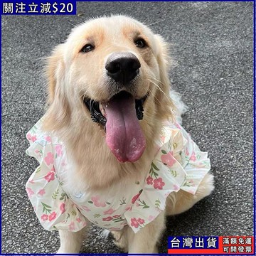 【大型犬】金毛薩摩耶 春夏公主裙 薄款飛袖大型犬連衣裙 夏裝透氣大狗衣服背心