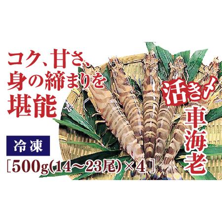 ふるさと納税 B-059 活き締め冷凍車えび500g×4 山口県山口市