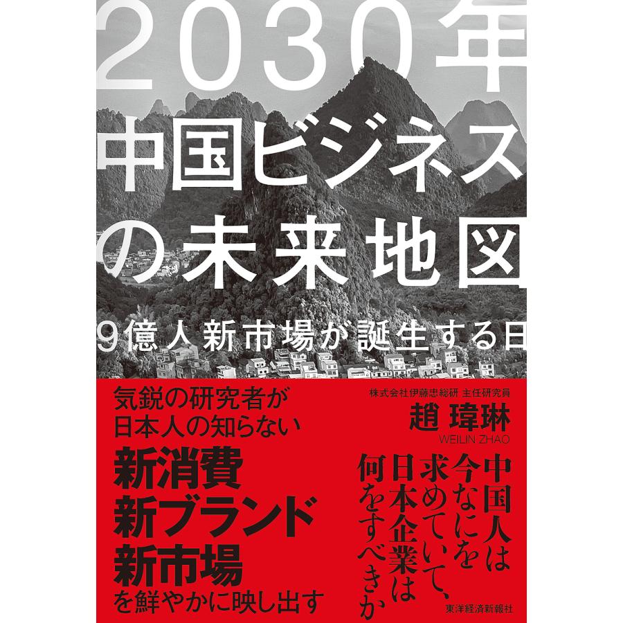 2030年中国ビジネスの未来地図 9億人新市場が誕生する日 趙 琳