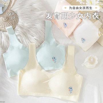 【免運！折50元】無痕內衣 無鋼圈細肩帶 打底抹胸無痕 冰絲發育期少女內衣 學生帶胸墊舒適文胸 無鋼圈裹胸