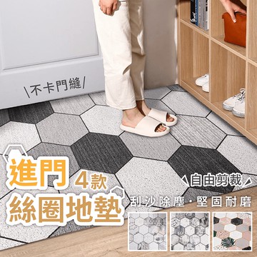 進門絲圈地墊【178小舖】刮泥地墊 門口地墊 地墊地毯 玄關地墊 地墊 地毯 PVC 刮泥絲圈地墊 進門地墊 絲圈地墊