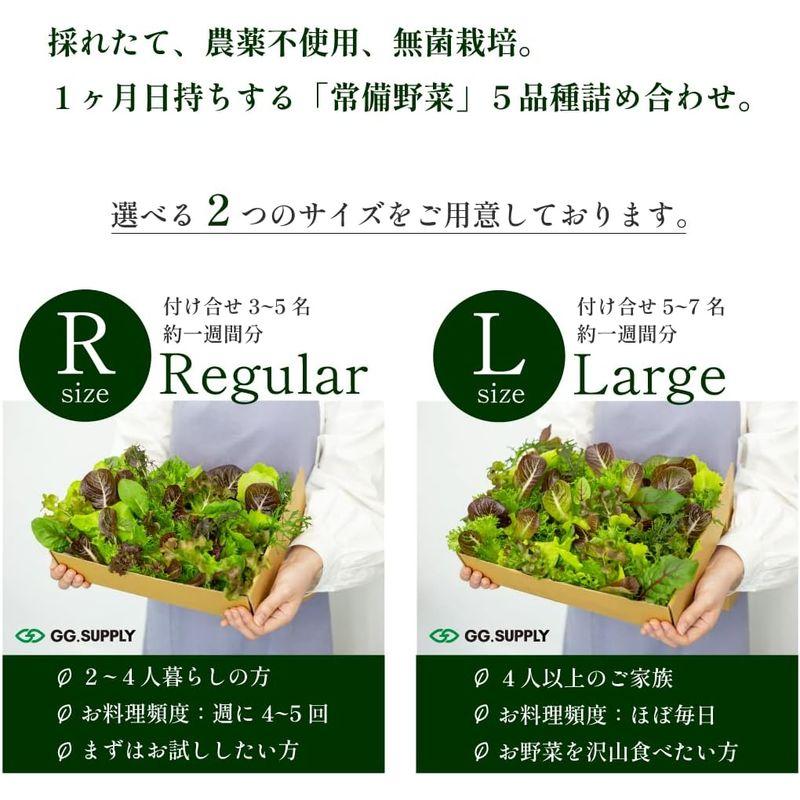 常備野菜５種詰め合わせ│ドレッシング要らず 一ヶ月日持ち 洗わずそのまま