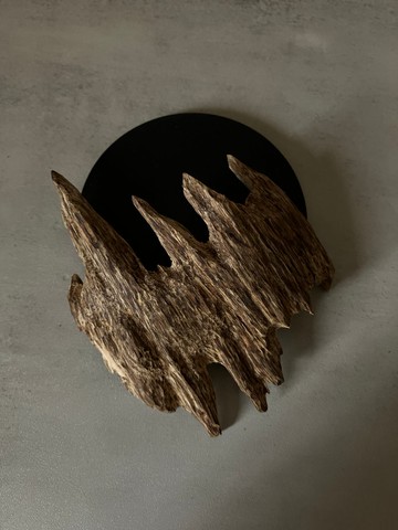 【雙尖蟻漏老料】野生芽莊沉香老料SS22(17.9克)