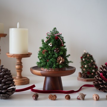 【Blooming.sein 林粼花藝設計】聖誕限定🎄永生雪松迷你聖誕樹 聖誕裝飾 交換禮物 節日慶祝