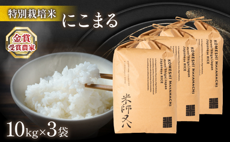 令和5年産 十六代目米師又八 謹製 にこまる 10kg×3袋  米 新米 にこまる 精米 にこまる 白米 にこまる 令和5年産 にこまる 産地直送 にこまる 農家直送 にこまる 国産 にこまる 特別栽培米 にこまる 金賞農家 にこまる 滋賀県 竜王町)