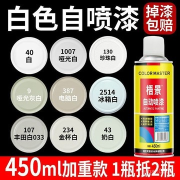 🔥臺灣發貨🔥銀灰色手搖自動噴漆閃光銀深灰色噴漆罐汽車防銹漆黑白色油漆小瓶 C4OJ