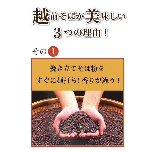 年越しそば「きつねそば」お歳暮 年越し 名物 そば 蕎麦 お取り寄せ 越前そば 厚揚げ 具材付きそば