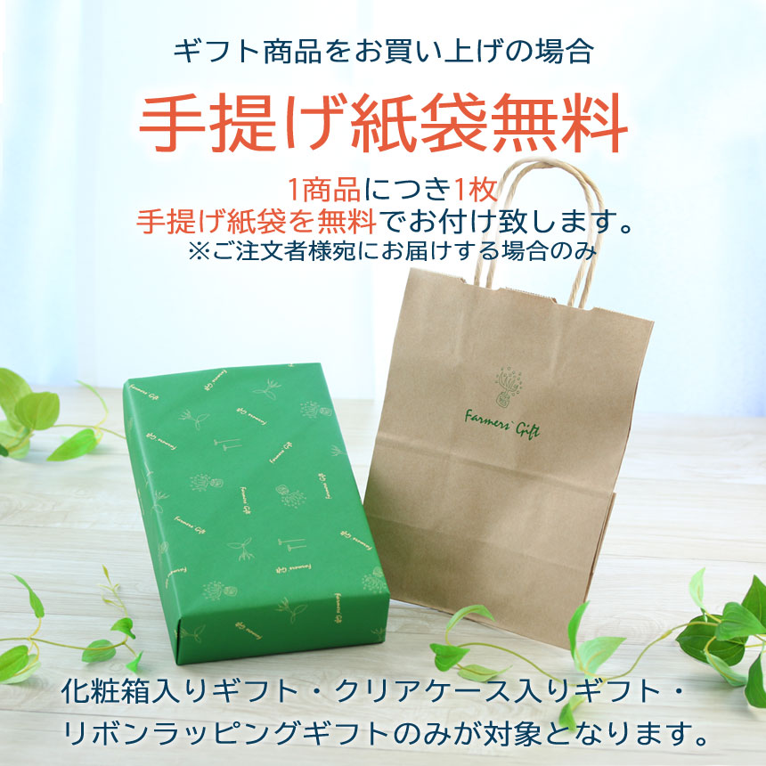 フルーツたっぷりギフト 送料無料 詰め合わせ お中元 健康 御祝 内祝 御礼 プレゼント 誕生日 サマーギフト 軽井沢ファーマーズギフト