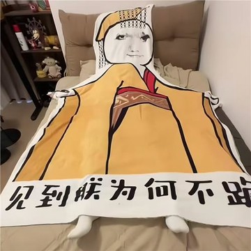 夏季空調毯龍圖見朕為何不跪搞怪毯子宿舍午睡毯搞笑床上小毯子