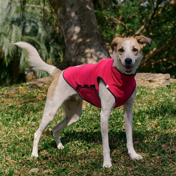 防潑水跑跑衣(山茶)_PAO4_S-6L,FB  方便快穿 透氣舒適 機能衣