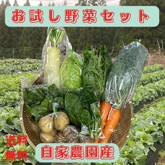 お試し有機野菜4〜6品セット 送料無料 有機栽培 無農薬