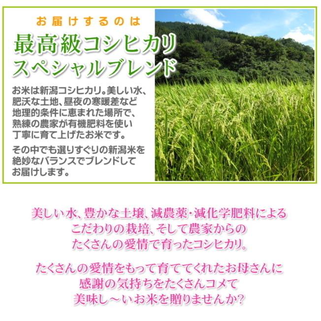 母の日 プレゼント お米 3kg 新潟産コシヒカリ 無洗米 メッセージカード付き 棚田米 新潟米 産地直送 人気 おしゃれ お祝い 母 送料無料