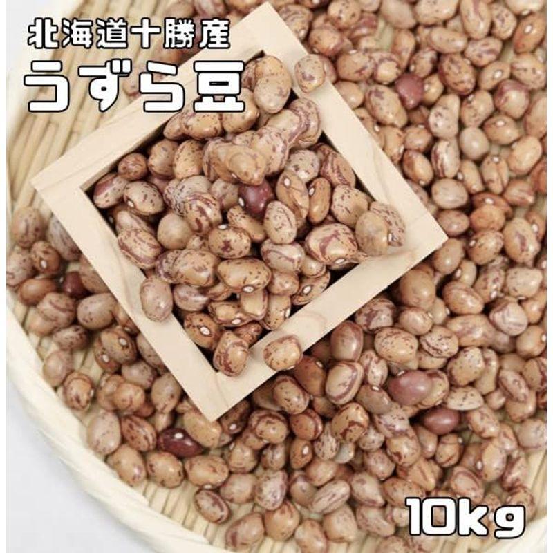 豆力特選 北海道十勝産 うずら豆 10Kg