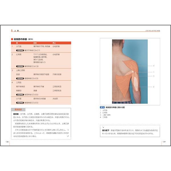 徒手筋力検査ビジュアルガイド　臨床の質を高める技術と機能評価