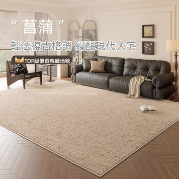 客廳地毯 臥室地毯 房間地毯 中古風 免洗可擦 免打理 防水防污 臥室床邊毯 侘寂風 日式地毯 沙發茶幾毯 書房客廳臥室