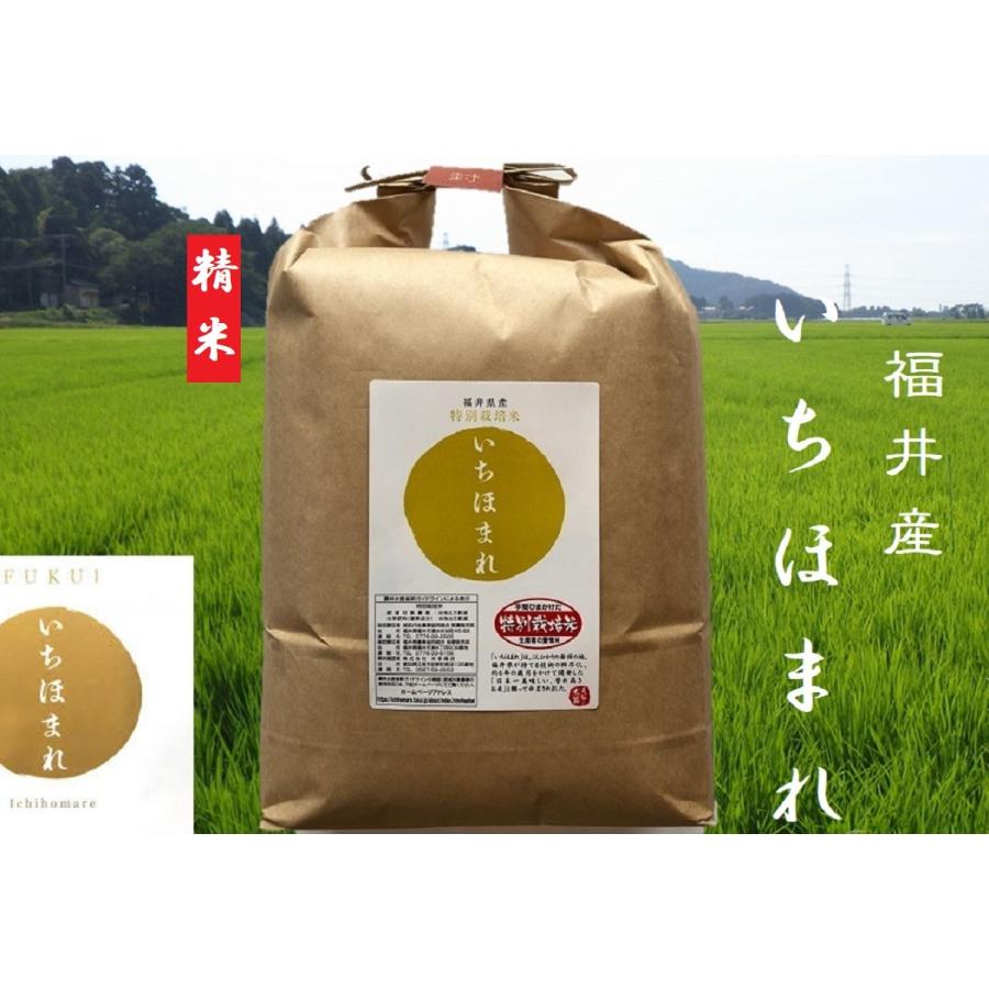 米2kg お米 いちほまれ 5年産 特別栽培米 化学肥料不使用 福井産