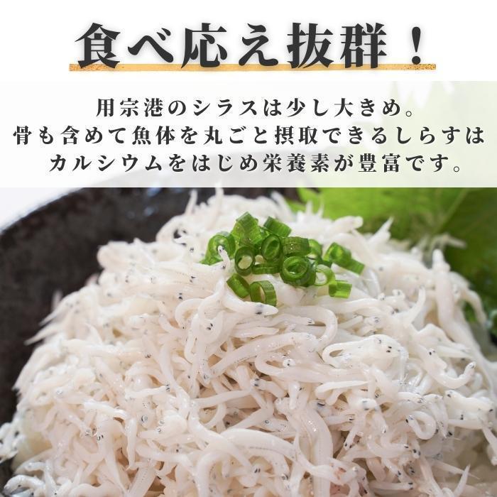 駿河湾産 釜揚げしらす「駿河湾産 釜揚げシラス 100ｇ」しらす 釜揚げ 産地直送 小分け 送料無料(本州のみ)