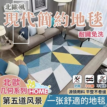 免運 ins風北歐客廳地毯茶幾毯臥室房間現代簡約滿鋪床邊毯大面積家用 臥室房間滿鋪床邊毯 茶几毯沙發地毯 短毛地毯