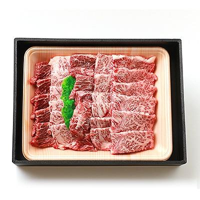 ふるさと納税 椎葉村 宮崎県産 椎葉プレミアム牛 焼肉セット