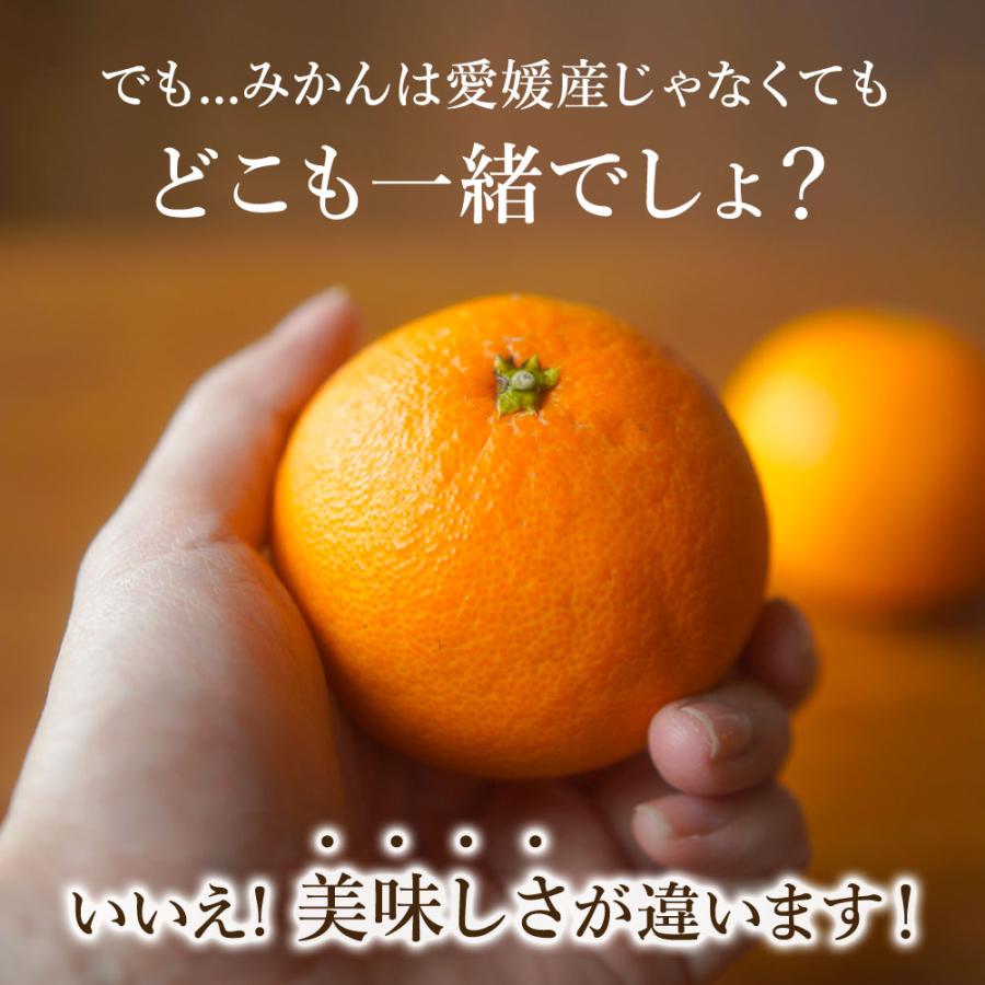 ご希望の着日にお届けします みかん 愛媛 西宇和 期日指定便2S〜Lサイズ 年末 ギフト 温州みかん 贈答品